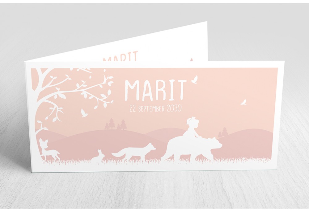 Meisje met dieren Meisje met dieren